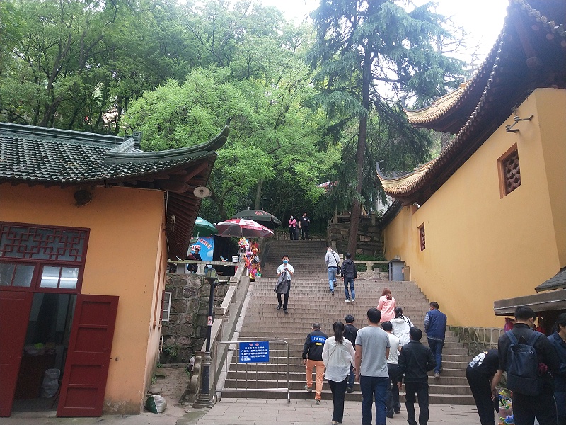 微信图片_20200525124311 微信图片_20200525124311