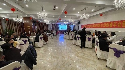 2021年苏州小黄鸭网站导航物流机器有限公司表彰大会